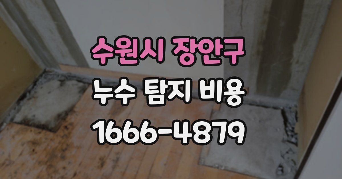 수원시 장안구 누수 탐지 비용