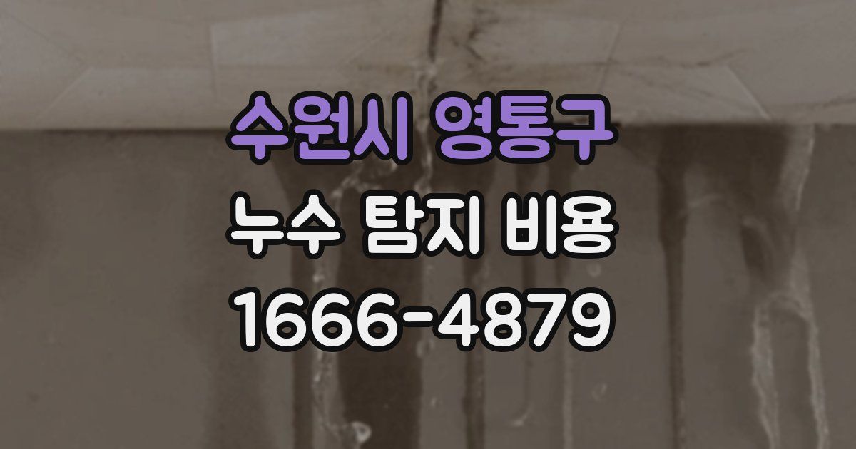 수원시 영통구 누수 탐지 비용