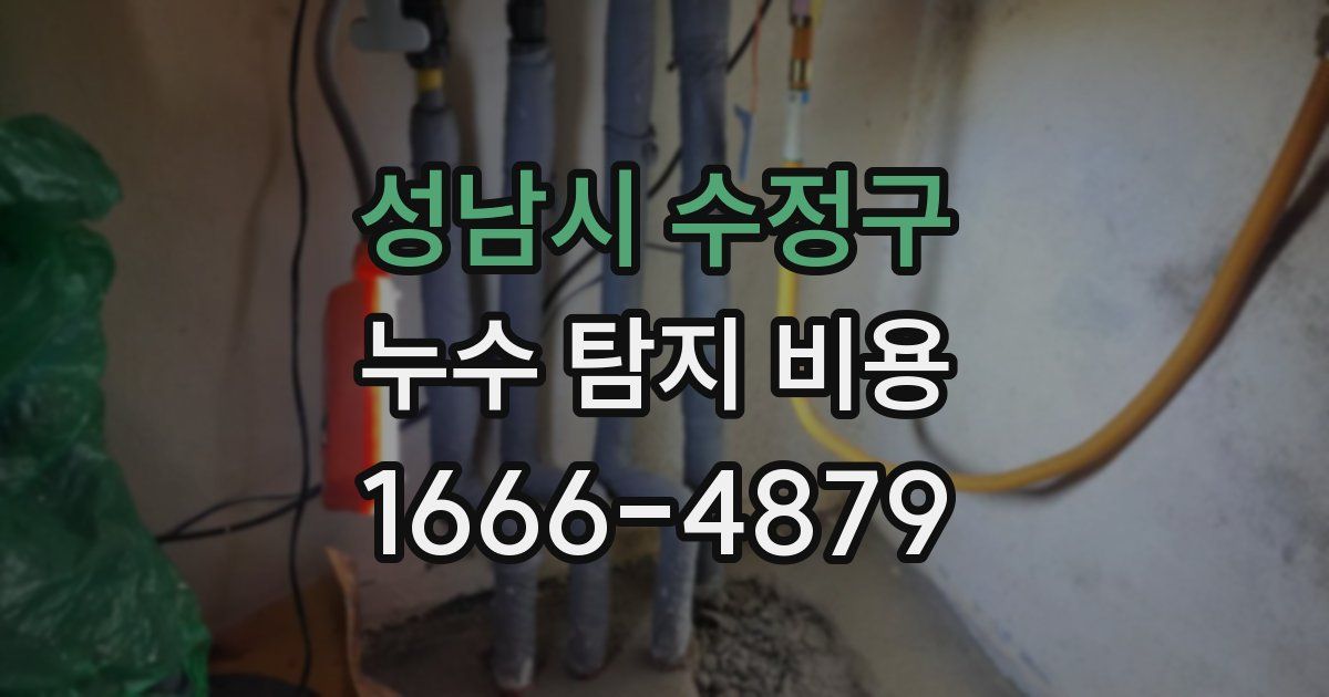 성남시 수정구 누수 탐지 비용