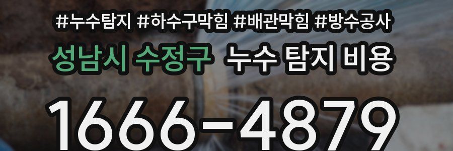 성남시 수정구 누수 탐지 비용