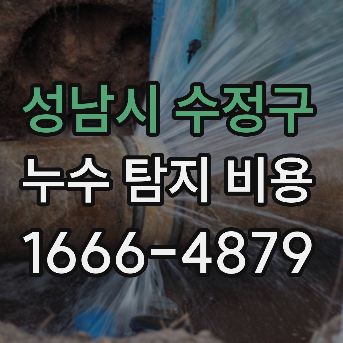 성남시 수정구 누수 탐지 비용