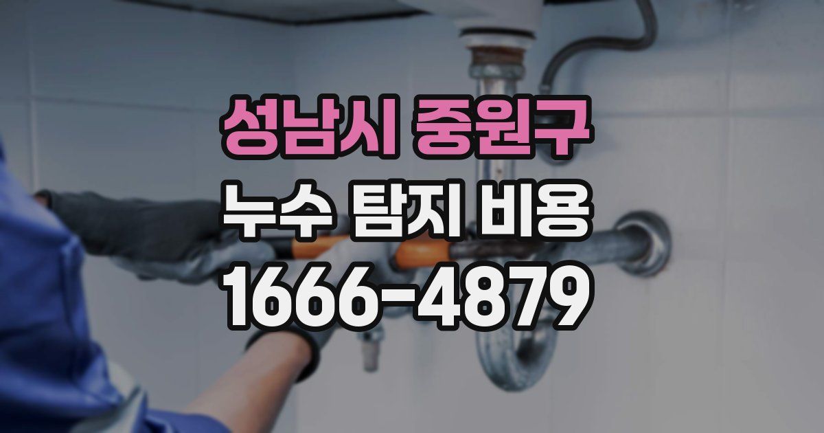 성남시 중원구 누수 탐지 비용