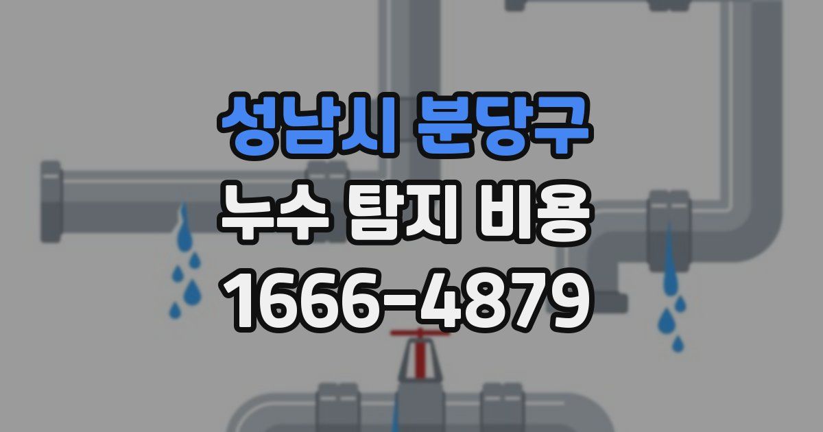 성남시 분당구 누수 탐지 비용