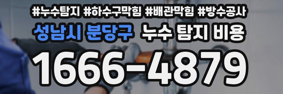 성남시 분당구 누수 탐지 비용