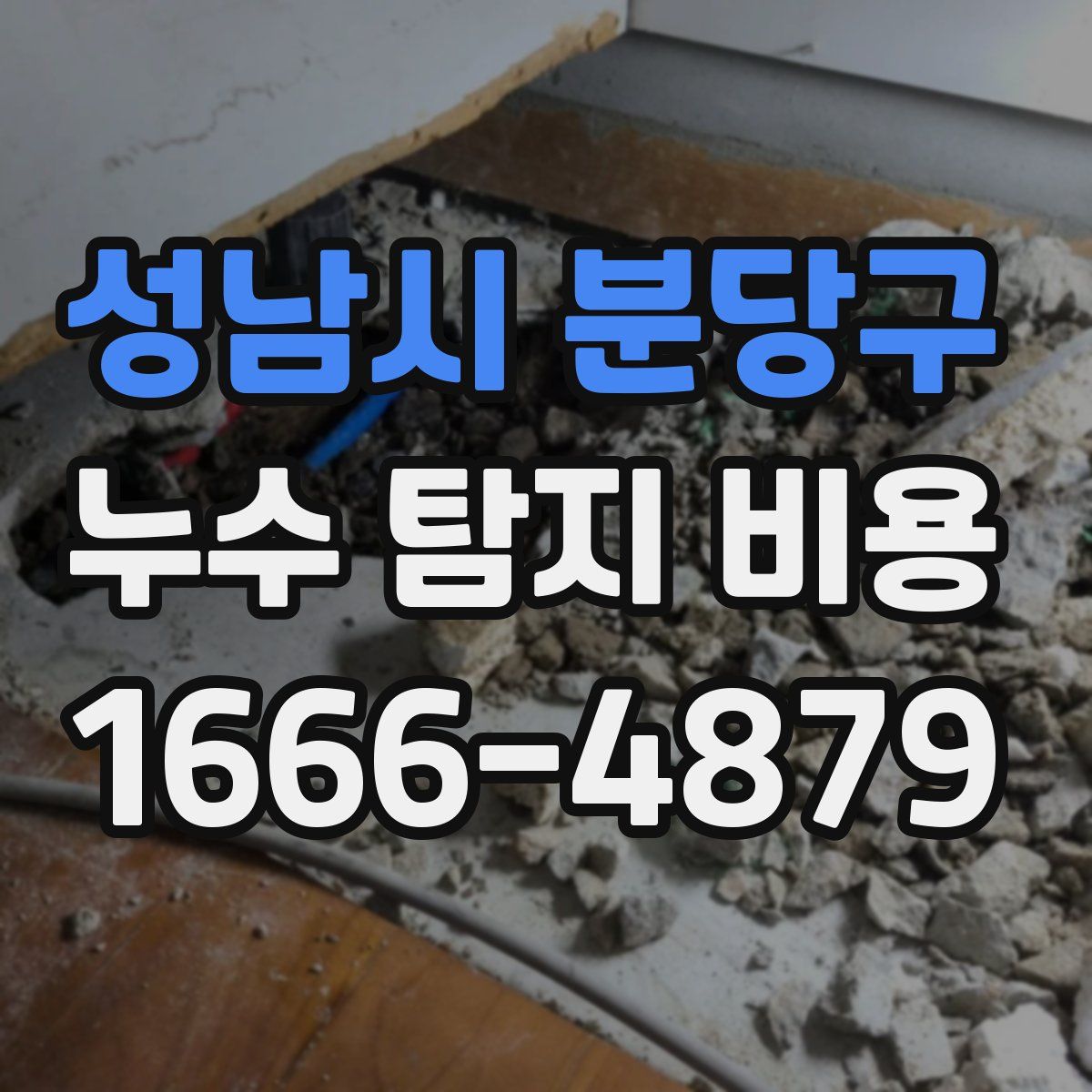 성남시 분당구 누수 탐지 비용