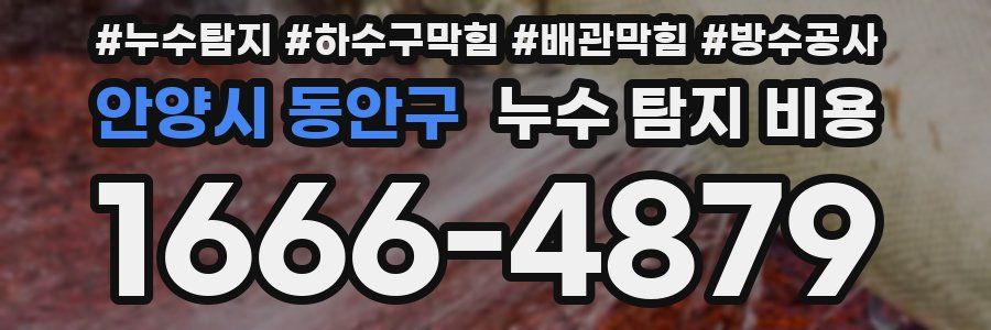 안양시 동안구 누수 탐지 비용