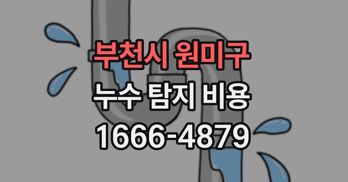 부천시 원미구 누수 탐지 비용