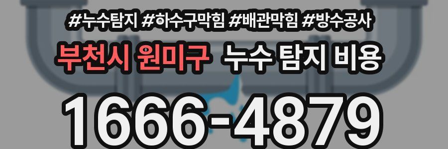 부천시 원미구 누수 탐지 비용