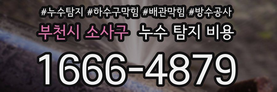 부천시 소사구 누수 탐지 비용