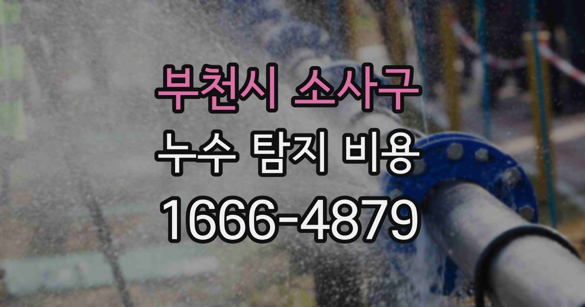 부천시 소사구 누수 탐지 비용