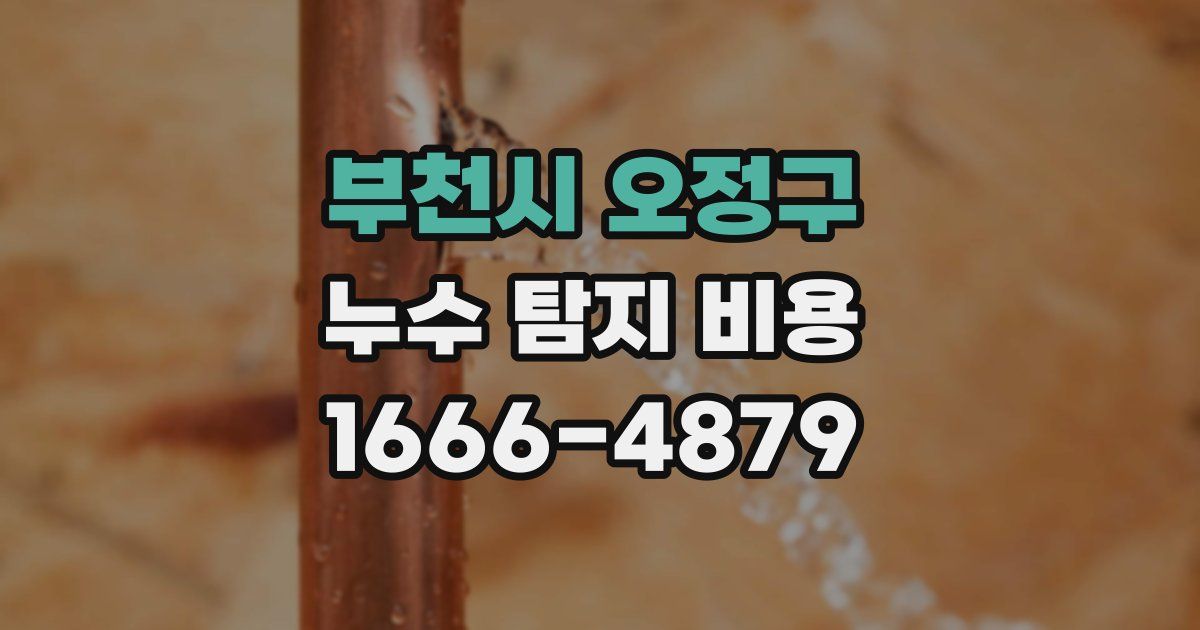 부천시 오정구 누수 탐지 비용