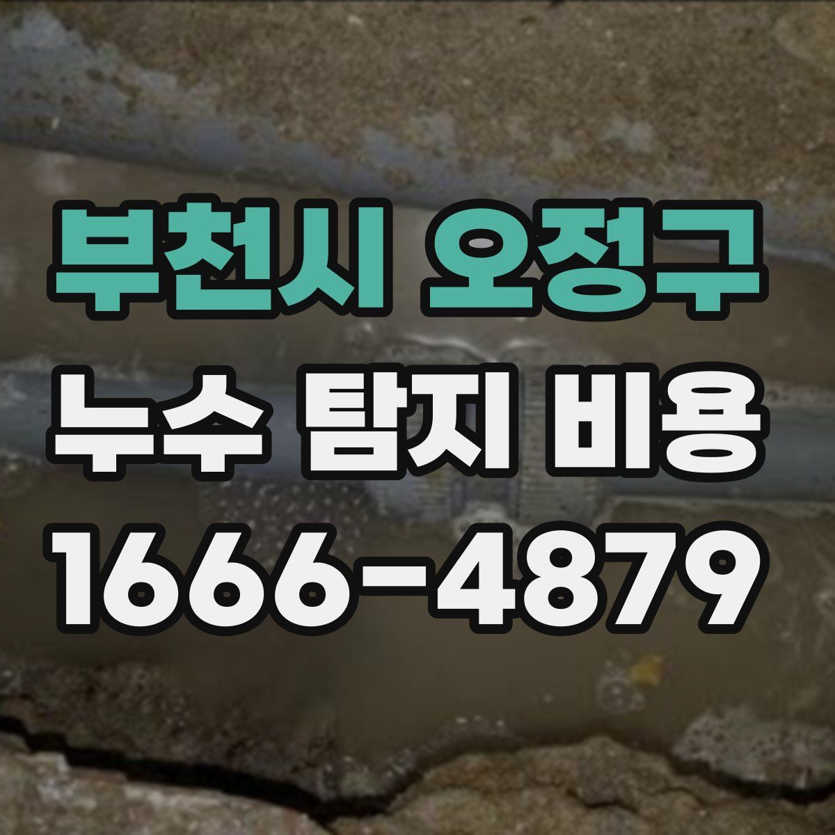 부천시 오정구 누수 탐지 비용