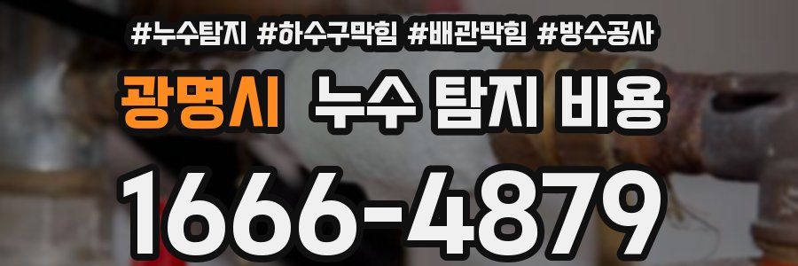 광명시 누수 탐지 비용