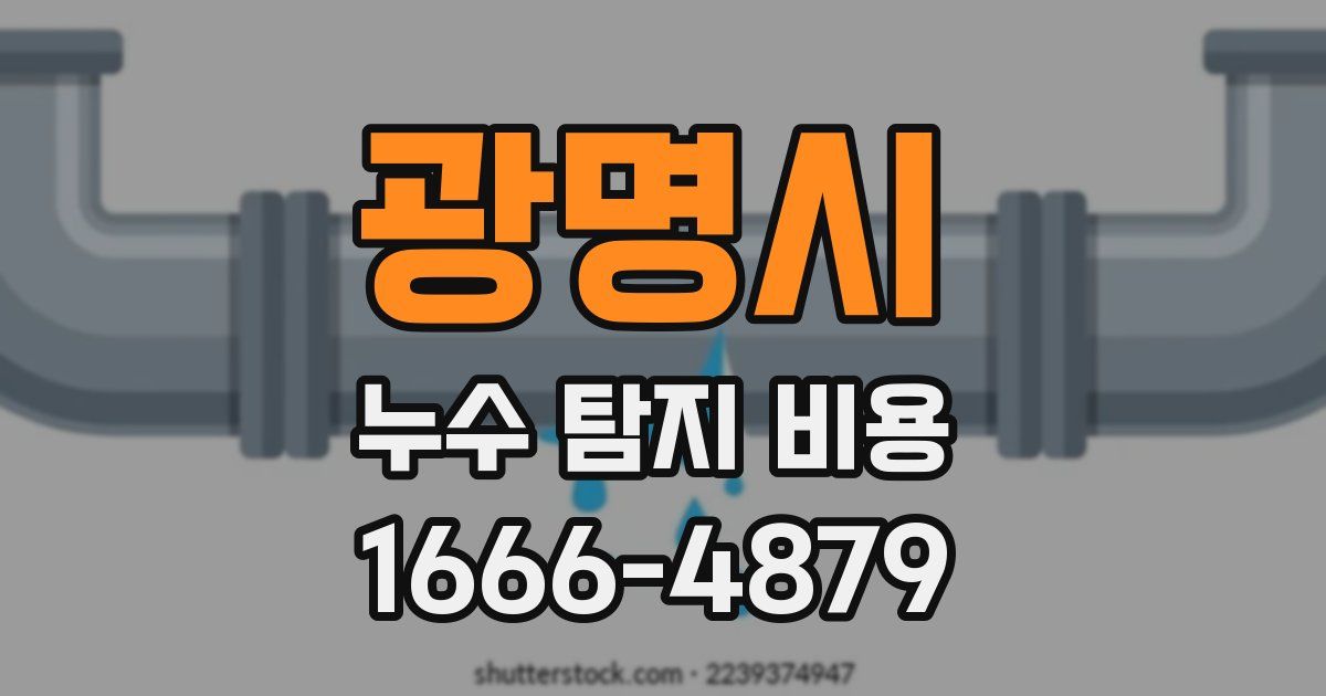광명시 누수 탐지 비용