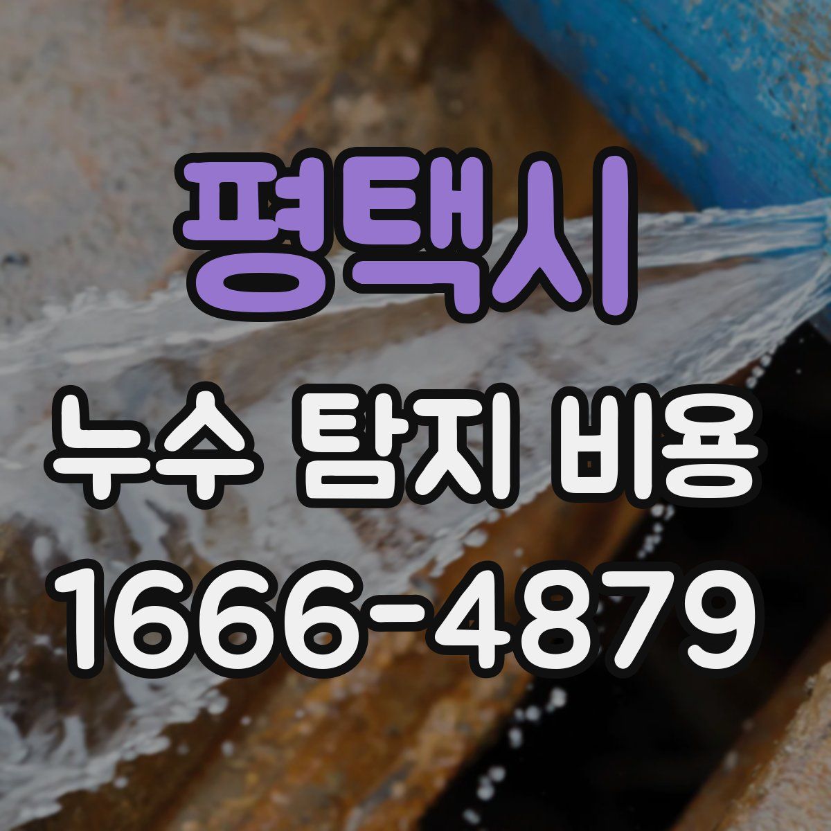 평택시 누수 탐지 비용