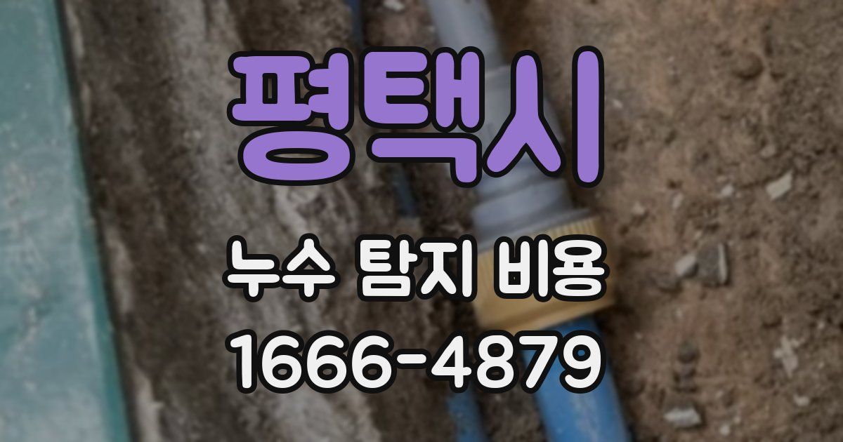 평택시 누수 탐지 비용
