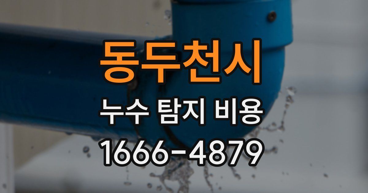 동두천시 누수 탐지 비용