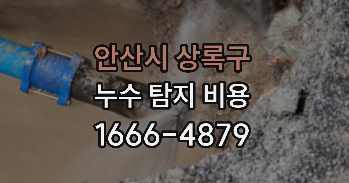 안산시 상록구 누수 탐지 비용