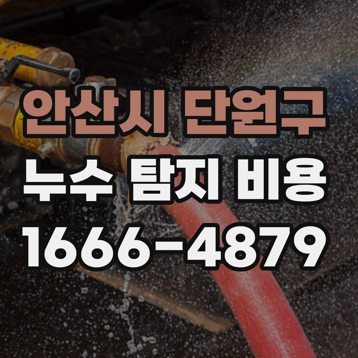 안산시 단원구 누수 탐지 비용