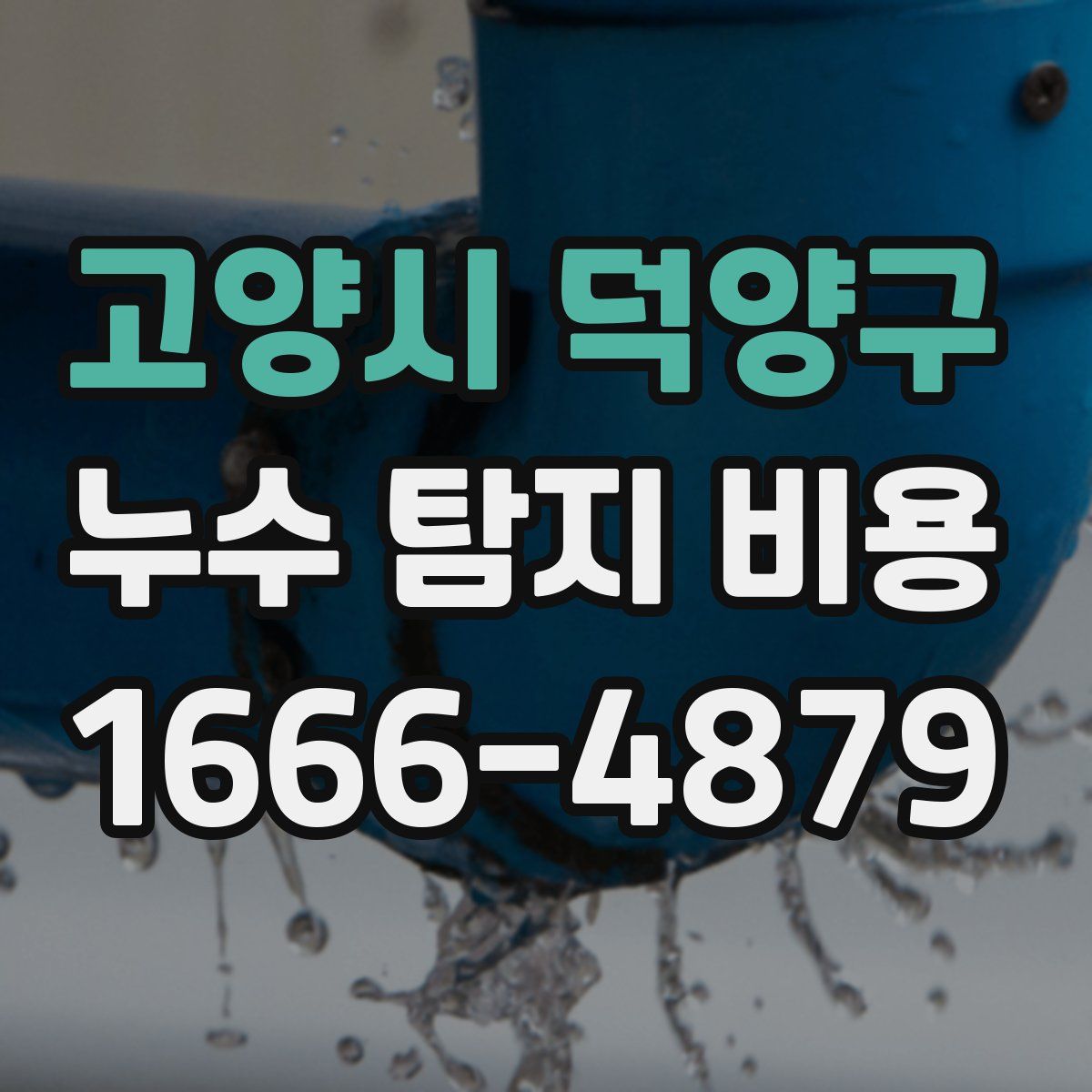 고양시 덕양구 누수 탐지 비용