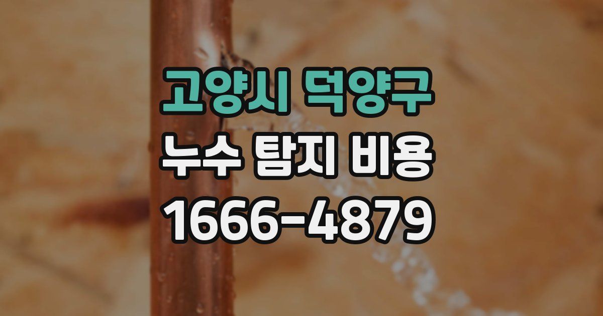 고양시 덕양구 누수 탐지 비용