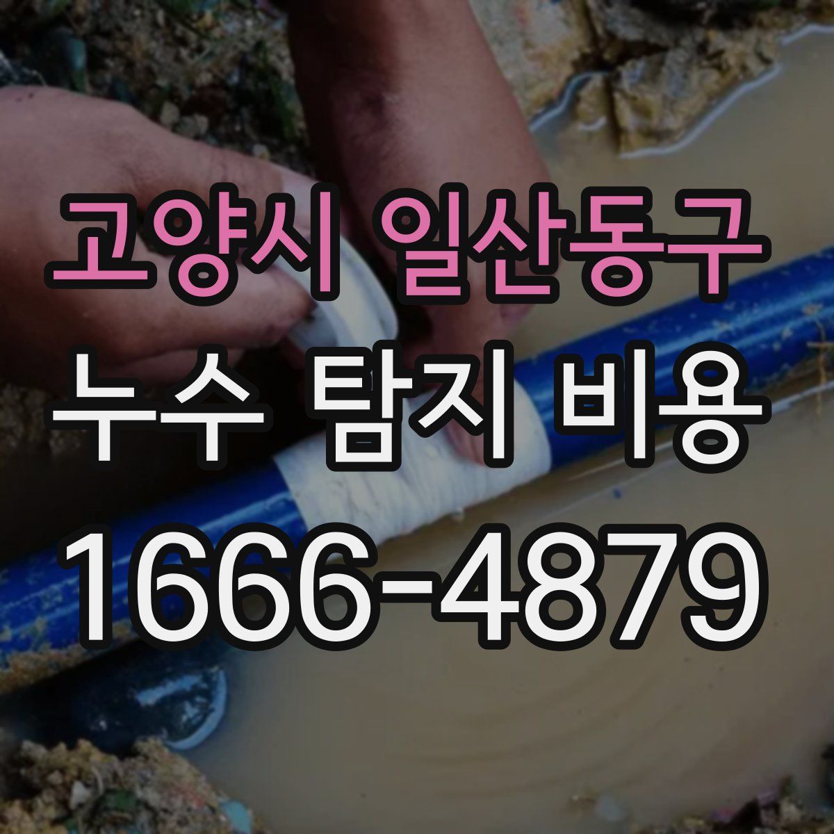 고양시 일산동구 누수 탐지 비용
