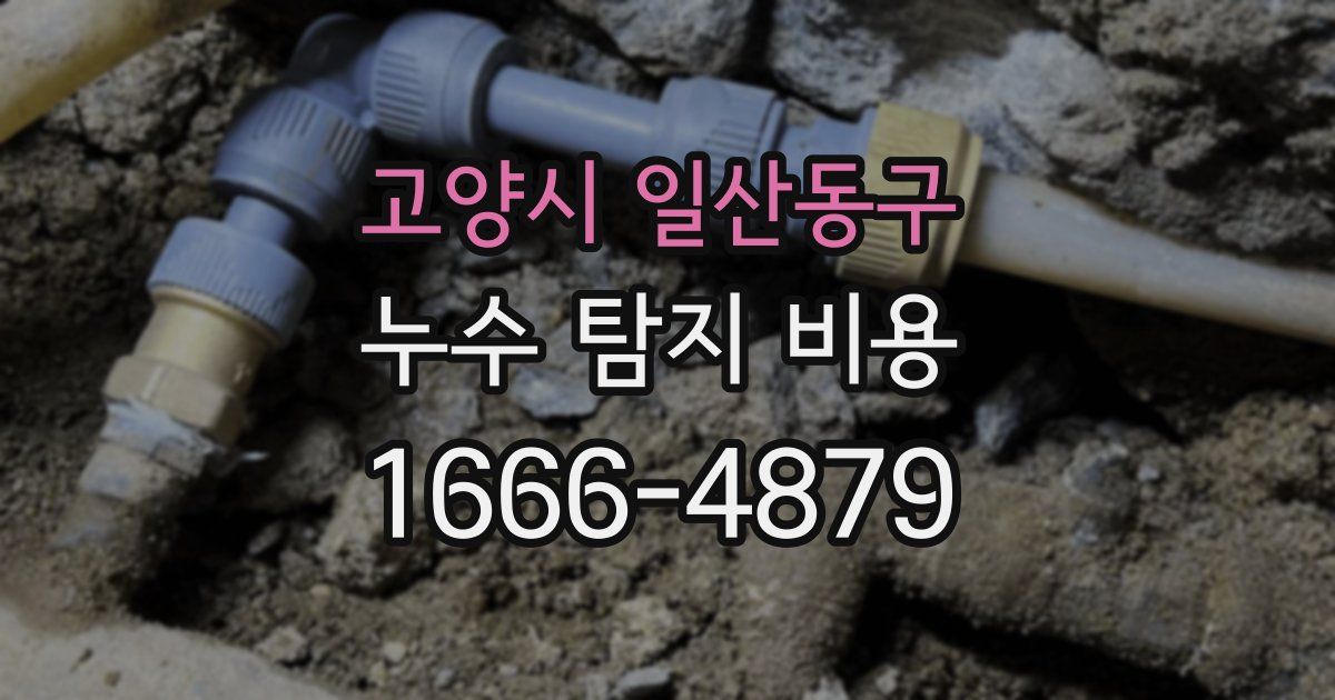 고양시 일산동구 누수 탐지 비용
