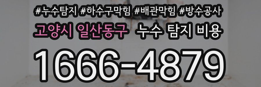 고양시 일산동구 누수 탐지 비용