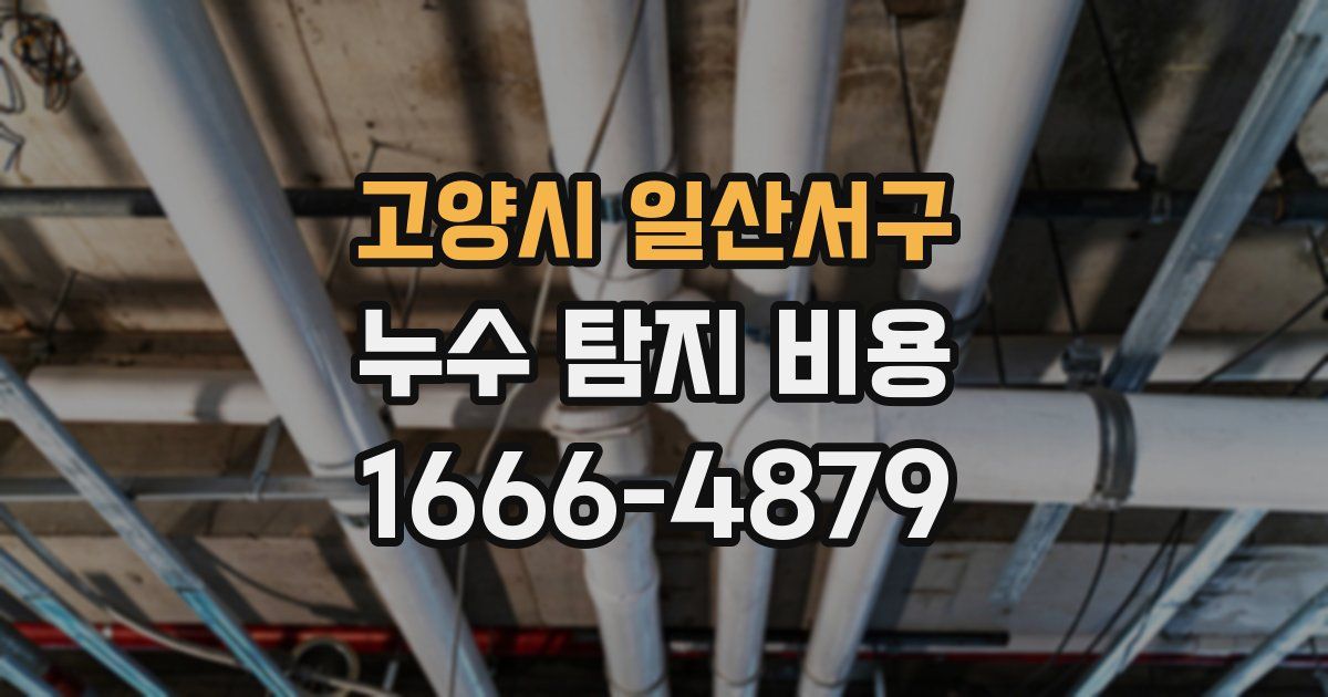 고양시 일산서구 누수 탐지 비용