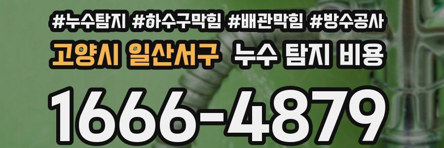 고양시 일산서구 누수 탐지 비용