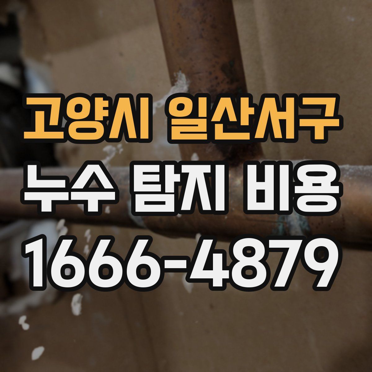 고양시 일산서구 누수 탐지 비용