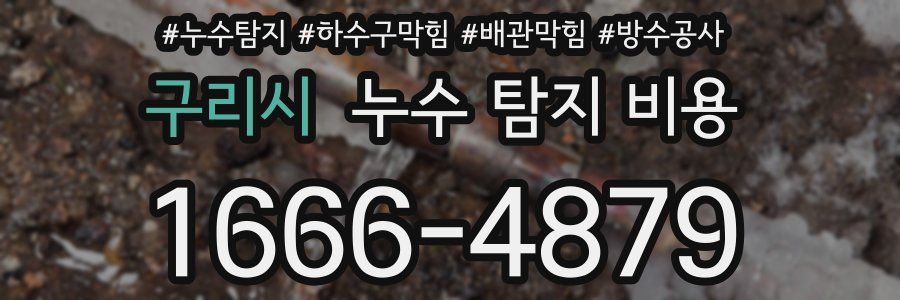 구리시 누수 탐지 비용