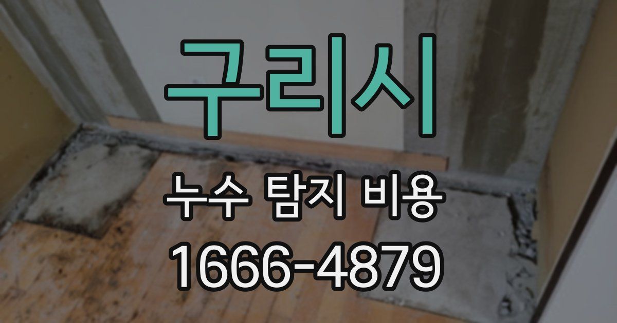 구리시 누수 탐지 비용
