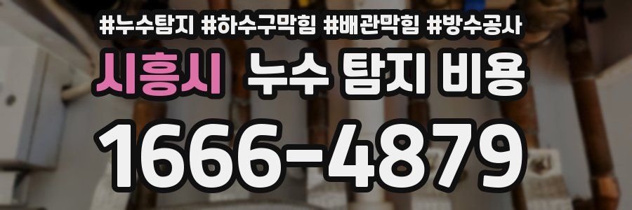 시흥시 누수 탐지 비용