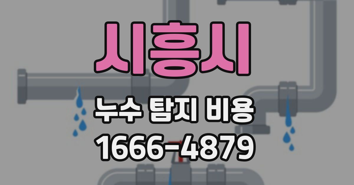 시흥시 누수 탐지 비용