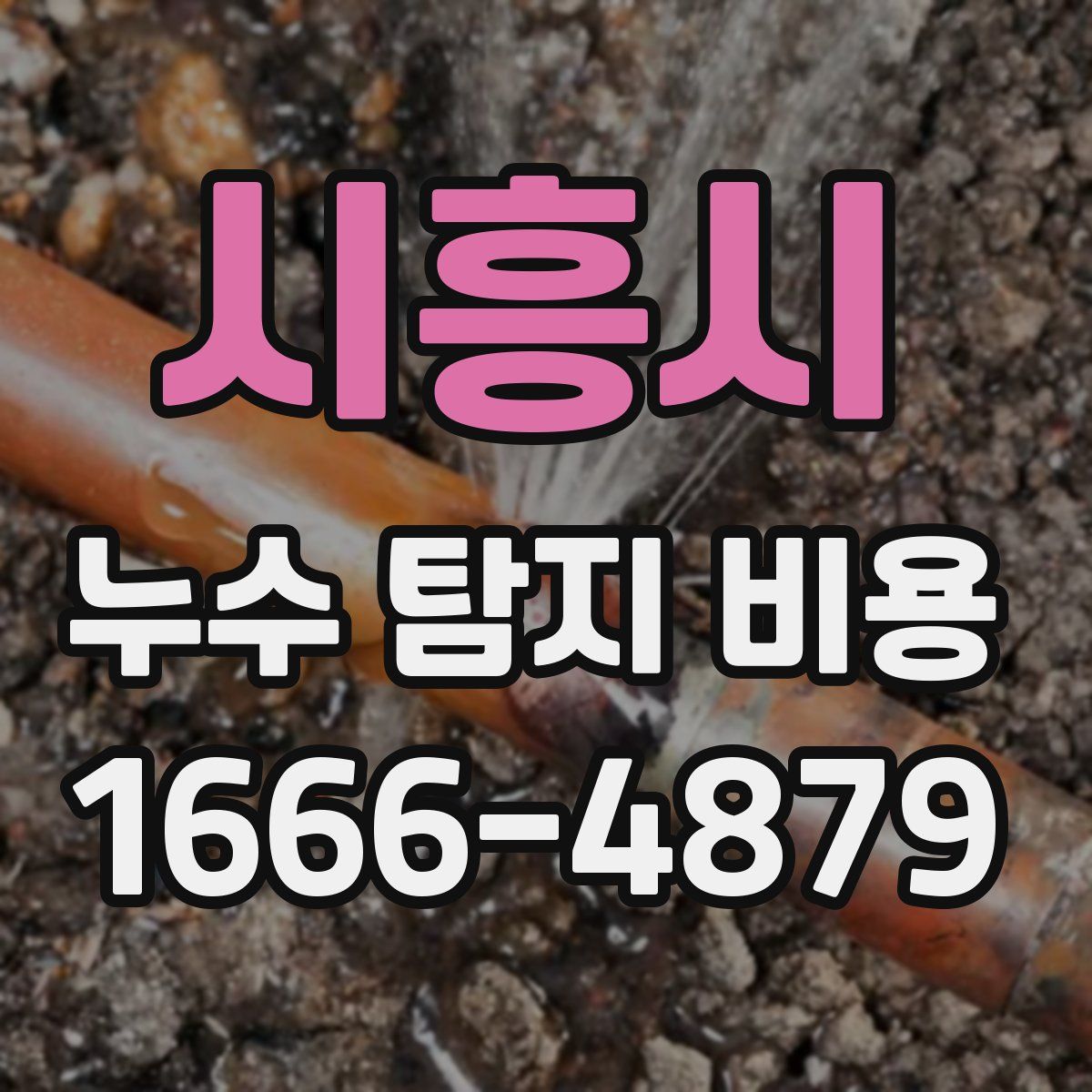 시흥시 누수 탐지 비용