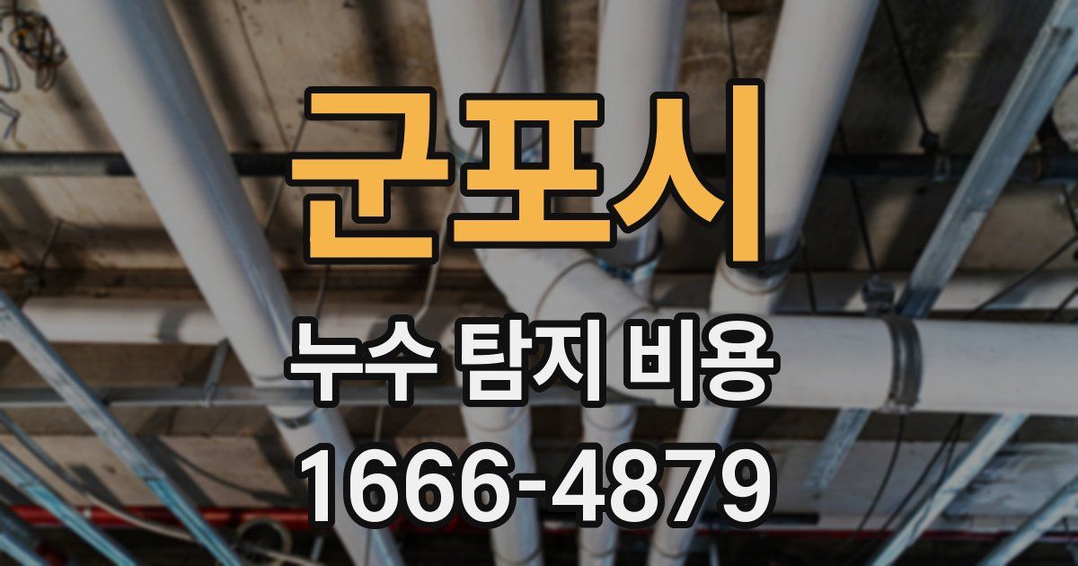 군포시 누수 탐지 비용