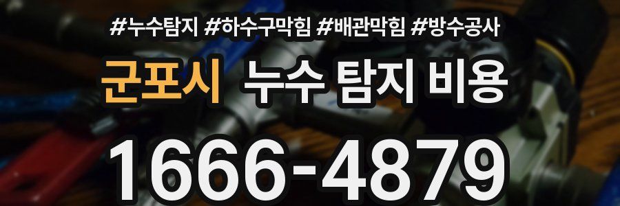 군포시 누수 탐지 비용