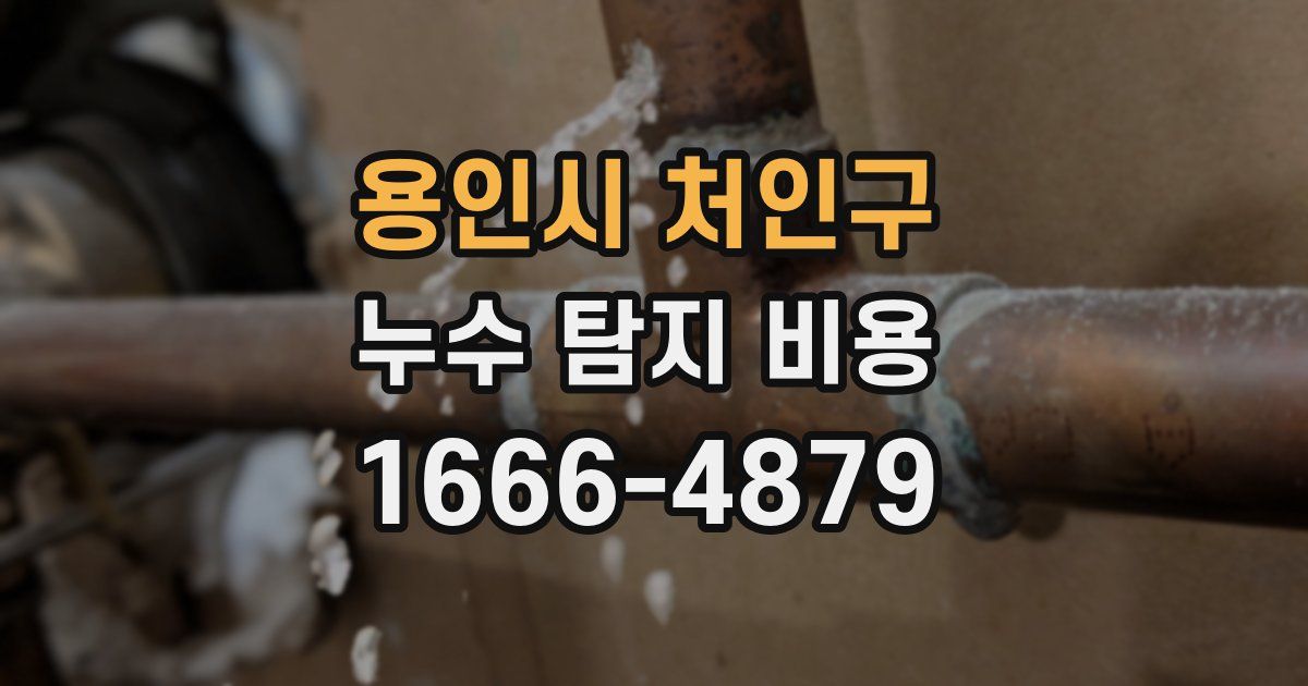 용인시 처인구 누수 탐지 비용