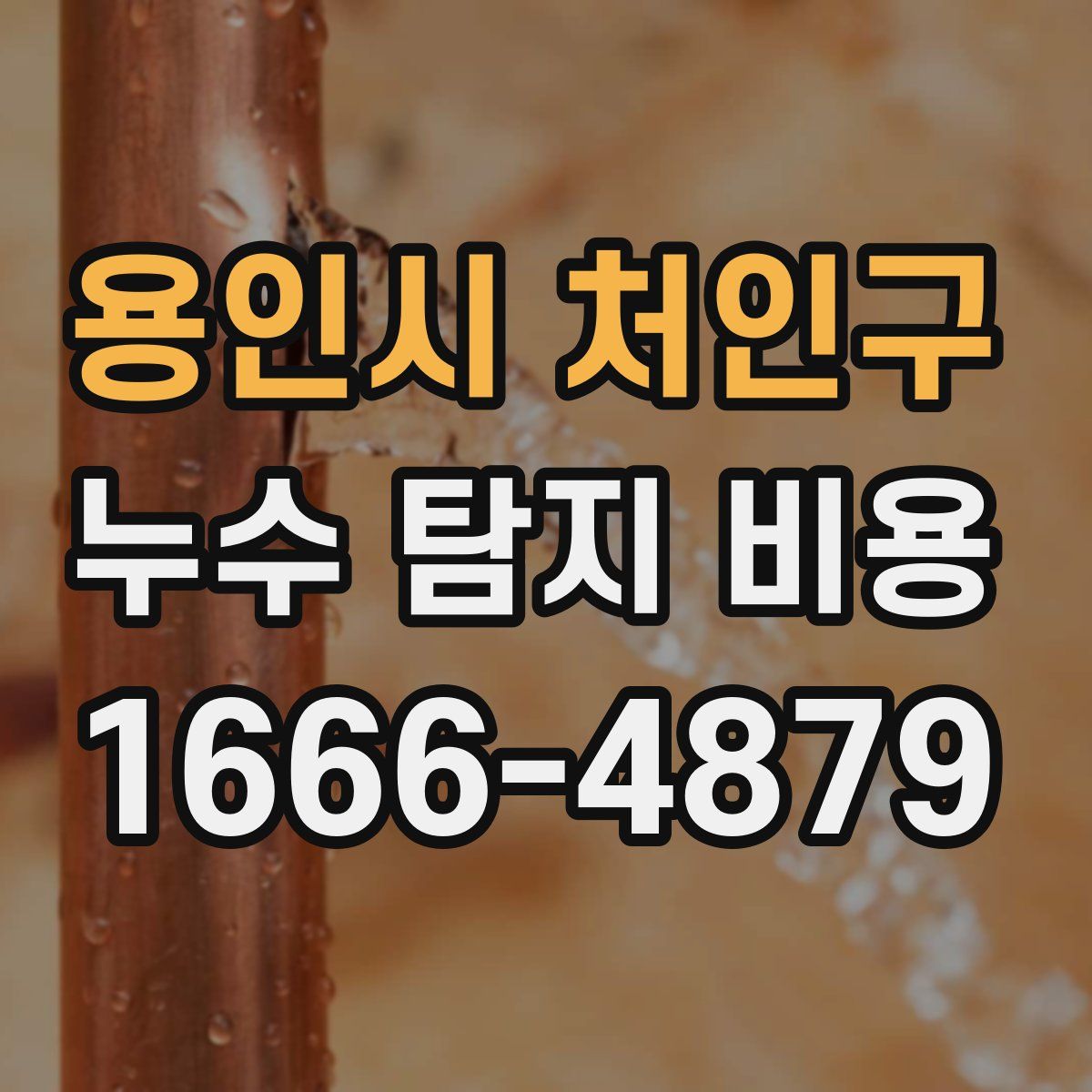용인시 처인구 누수 탐지 비용