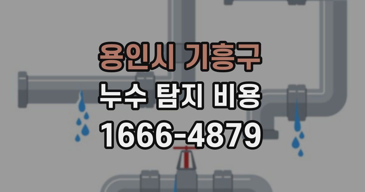 용인시 기흥구 누수 탐지 비용