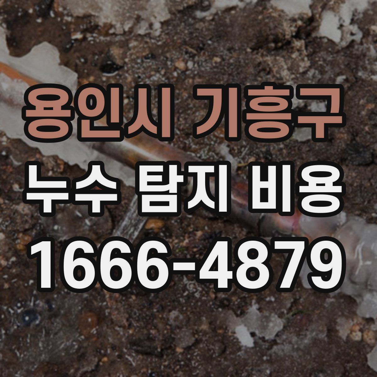 용인시 기흥구 누수 탐지 비용