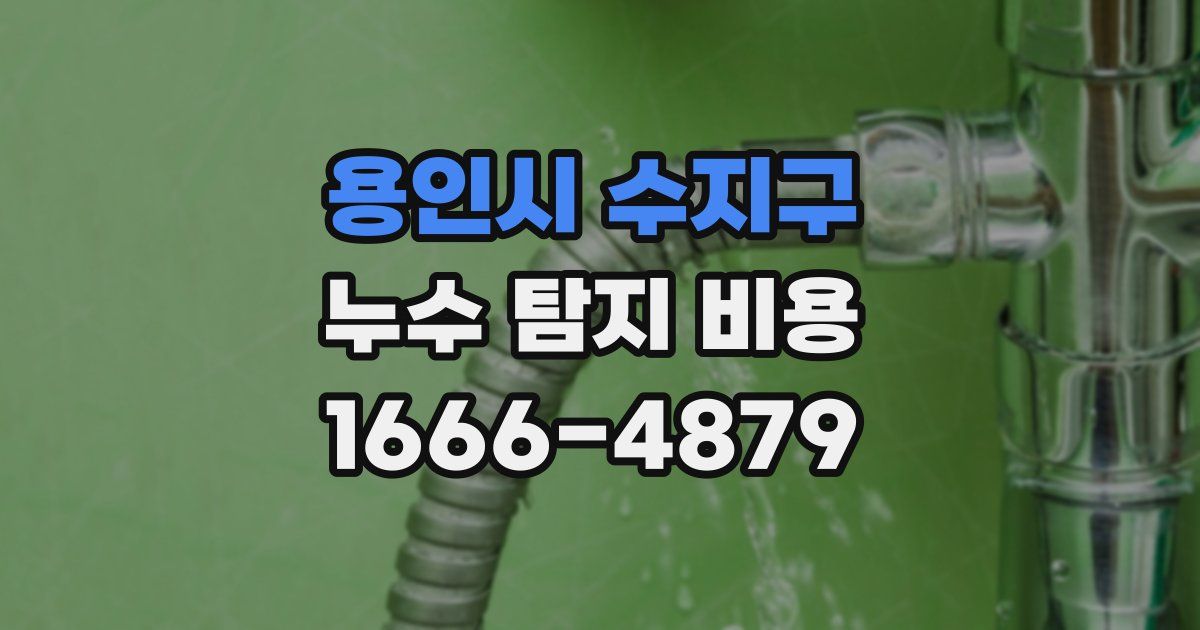 용인시 수지구 누수 탐지 비용