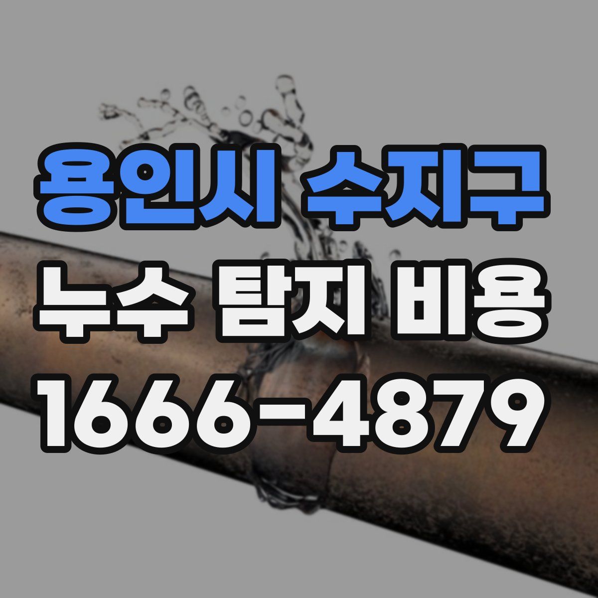 용인시 수지구 누수 탐지 비용