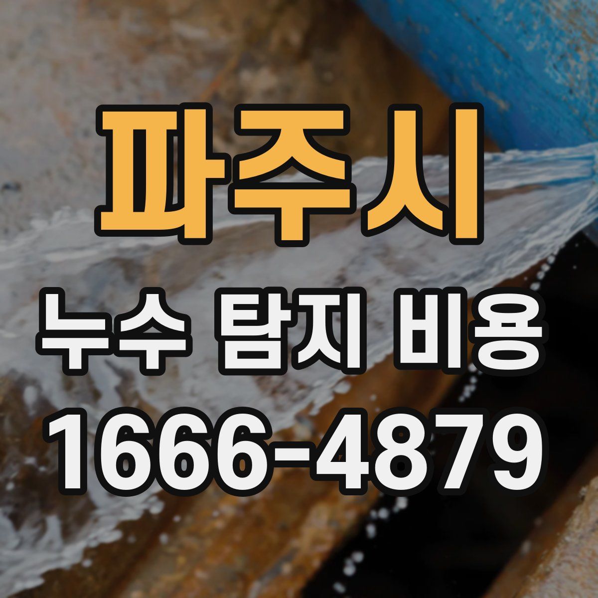 파주시 누수 탐지 비용