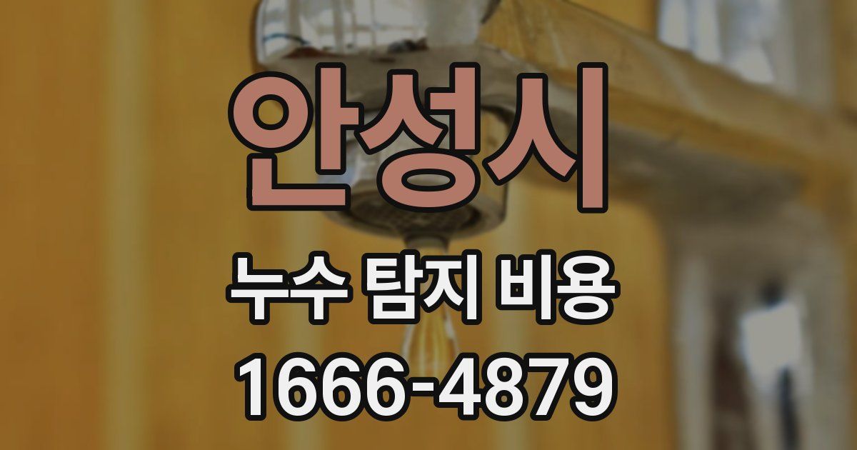 안성시 누수 탐지 비용