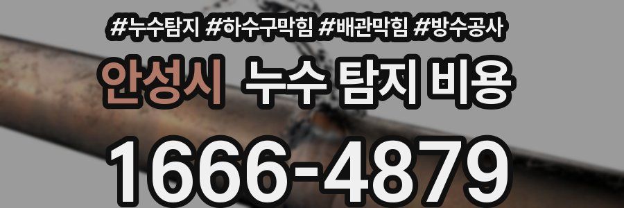 안성시 누수 탐지 비용