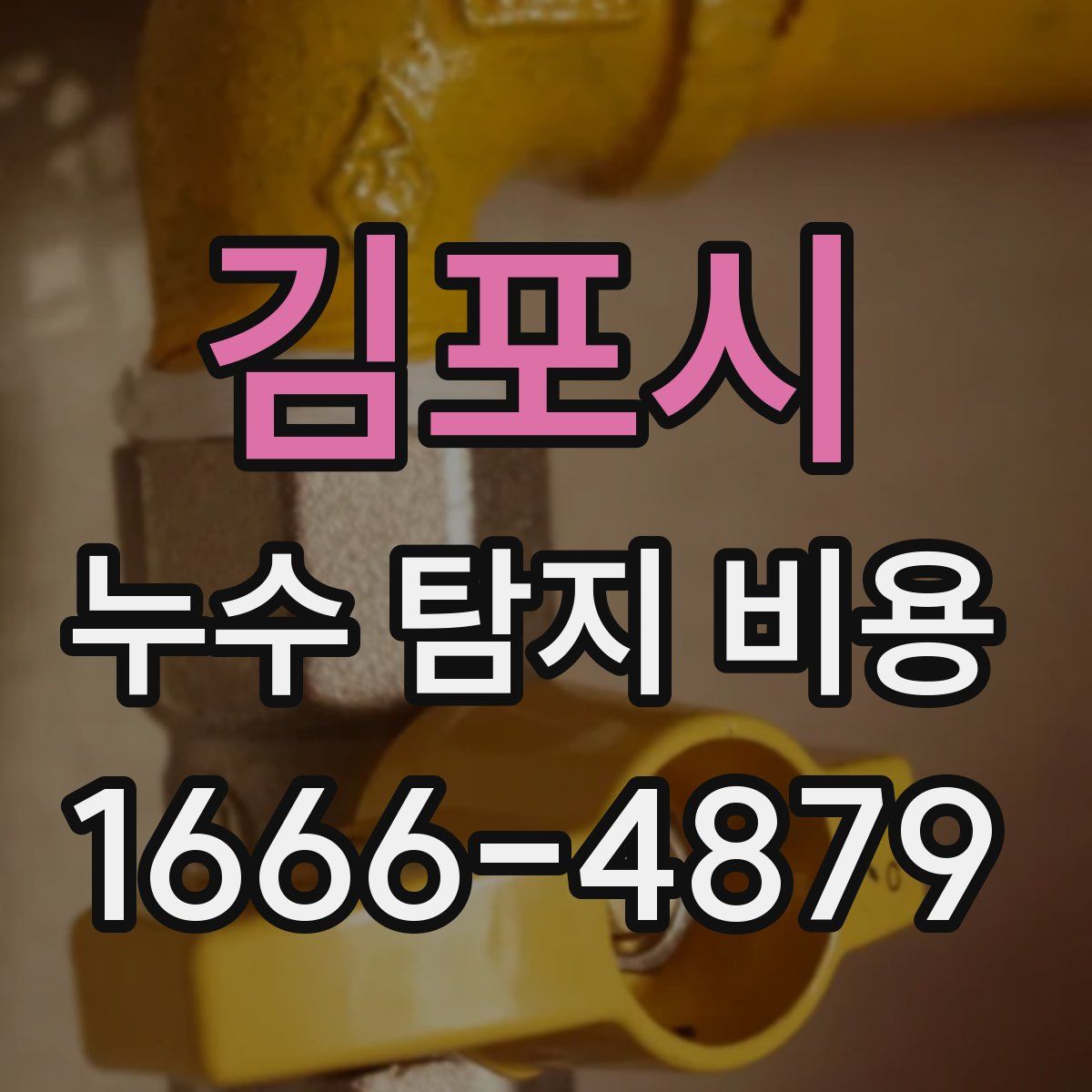 김포시 누수 탐지 비용