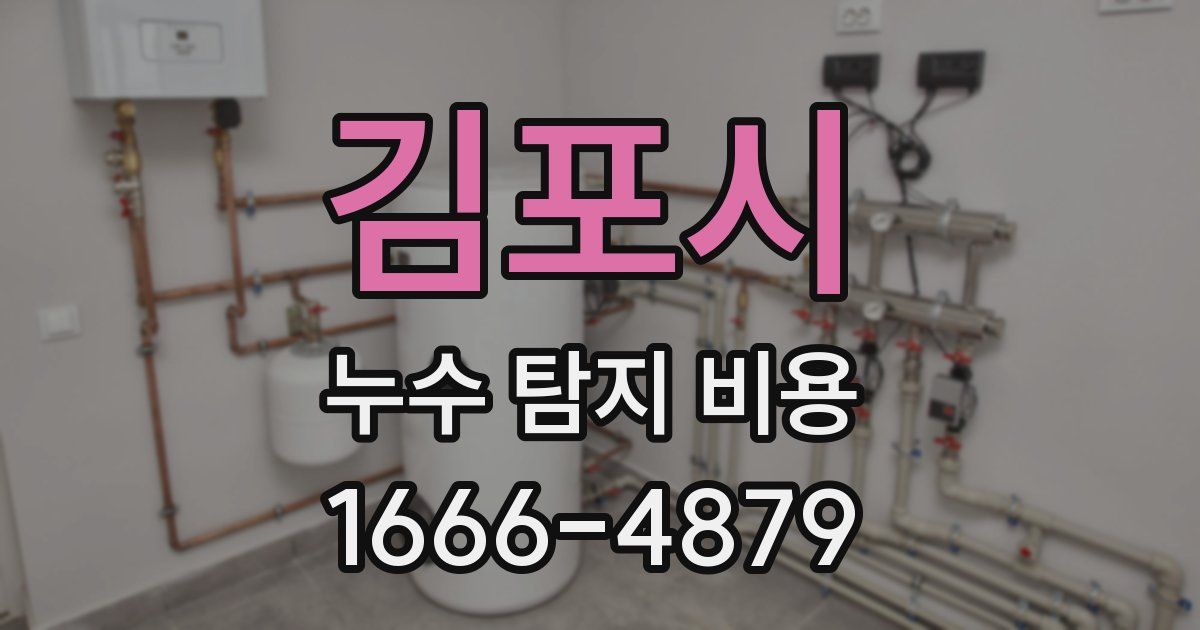 김포시 누수 탐지 비용