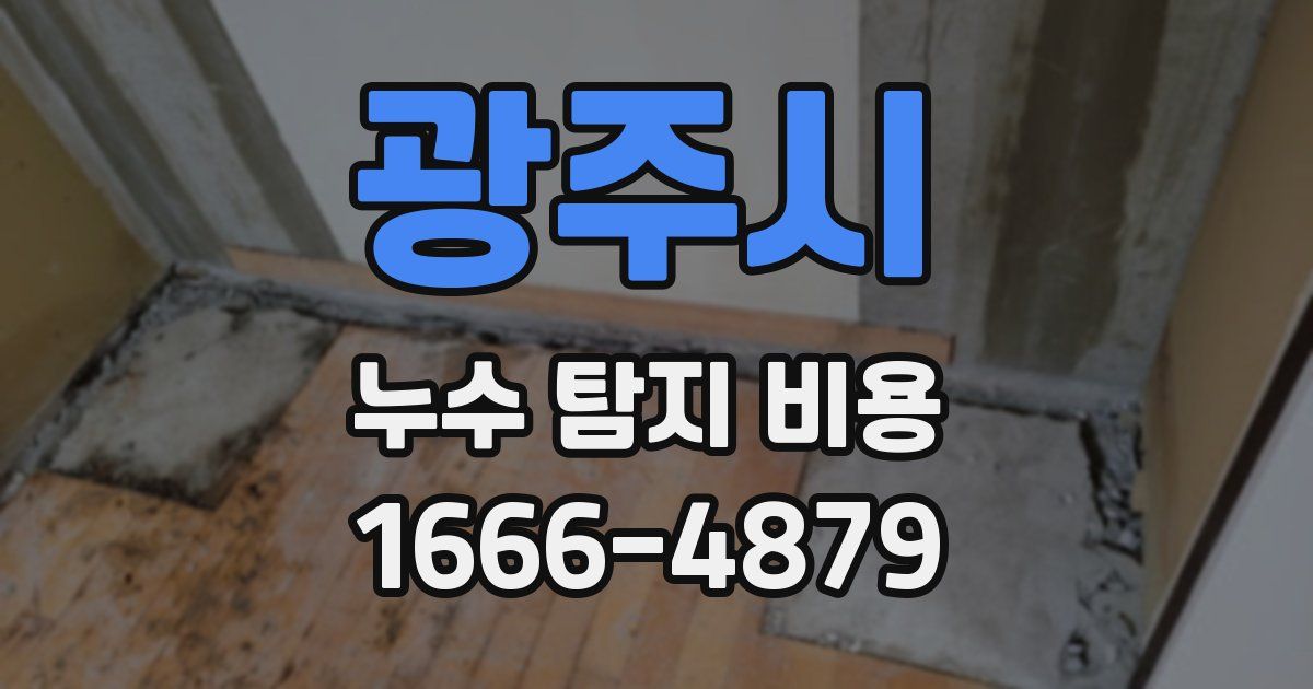 광주시 누수 탐지 비용